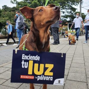 Alcaldia-de-Medellin-lanza-campana-para-prevenir-el-uso-de-la-polvora