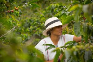 Young,Woman,Picking,Up,Coffee,Beans,In,Colombia