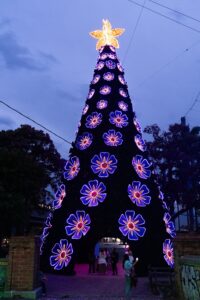 WhatsApp Image 2025-12-17 at 7.25.52 AM