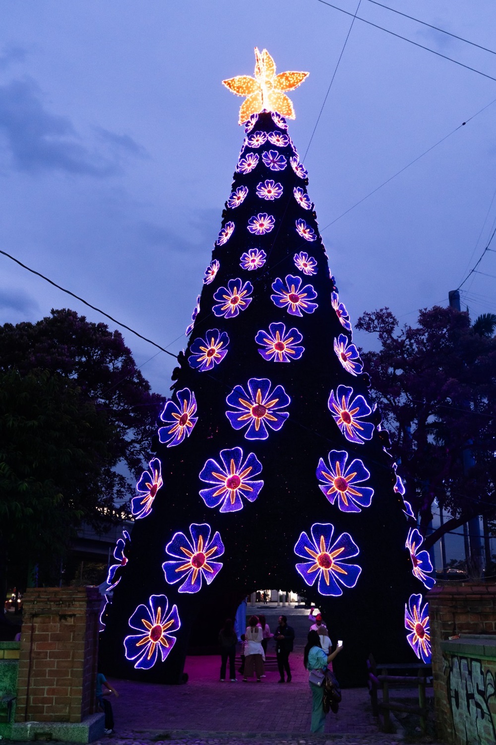 WhatsApp Image 2025-12-17 at 7.25.52 AM