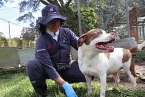 WhatsApp Image 2025-12-22 at 12.56.38 PM