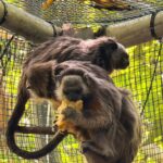 WhatsApp Image 2026-01-13 at 10.16.47 AM