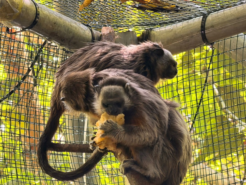 WhatsApp Image 2026-01-13 at 10.16.47 AM