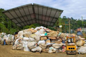 WhatsApp Image 2026-01-20 at 1.27.03 PM