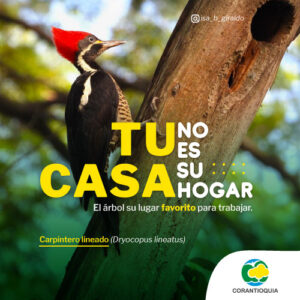 Portal-Digital-Gran-Ciudad-Banner-500-px-por-500-px