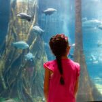 La Administración Distrital destina $5.300 millones para el acceso sin costo a museos y teatros de Medellín