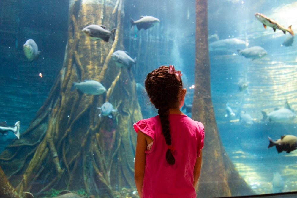 WhatsApp Image 2026-01-30 at 1.48.56 PM (1)