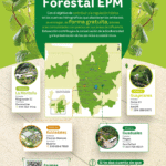 En el Día Internacional de la Madre Tierra, EPM siembra vida con el Programa de Fomento Forestal